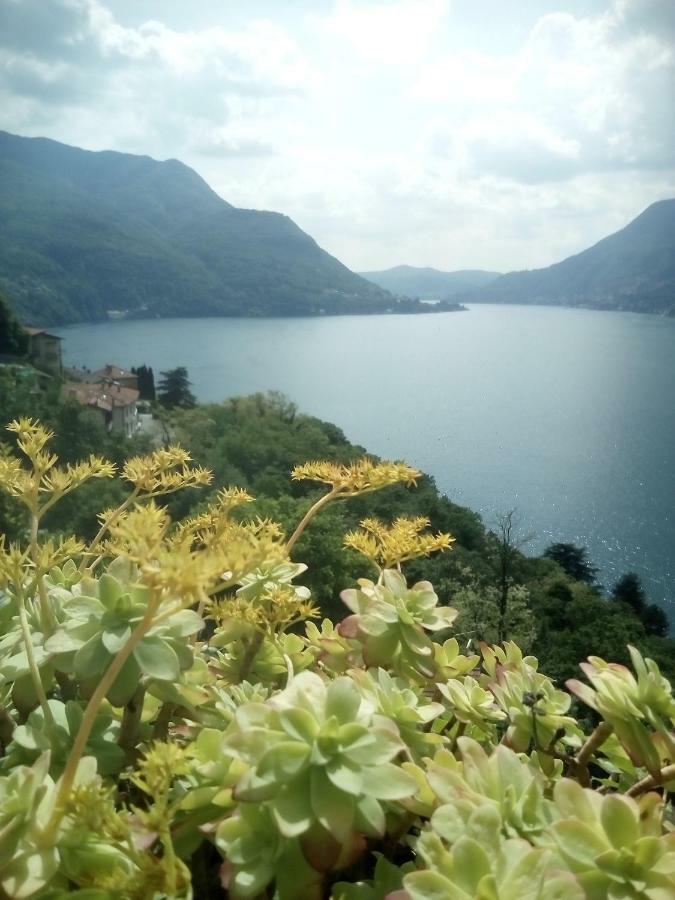 Casa del Borgo Villa Pognana Lario Exterior foto