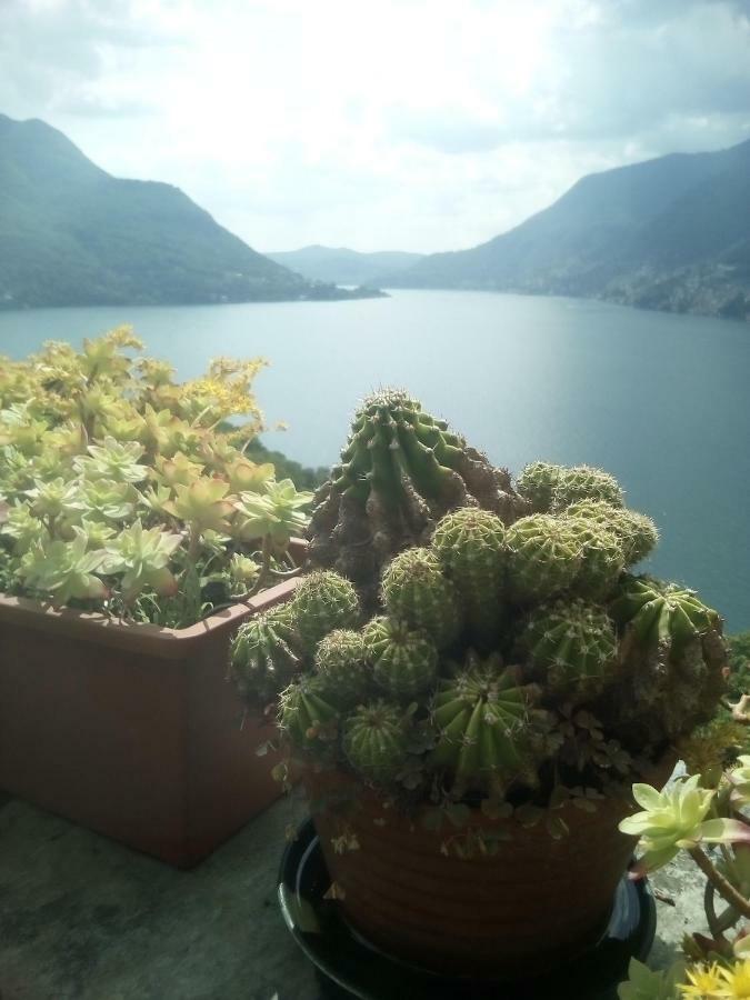 Casa del Borgo Villa Pognana Lario Exterior foto